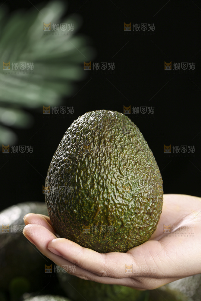 木底上的墨西哥牛油果