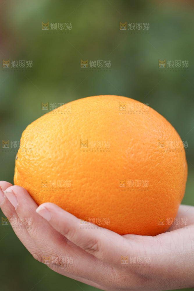 赣南脐橙