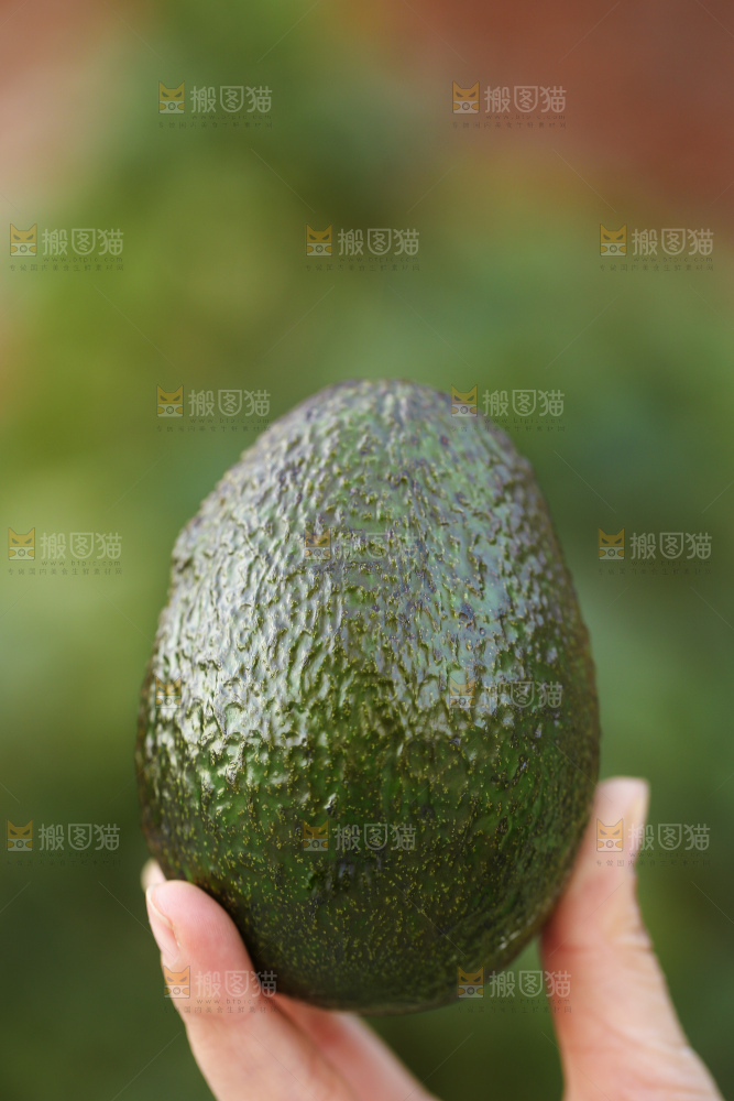 手里拿着秘鲁牛油果