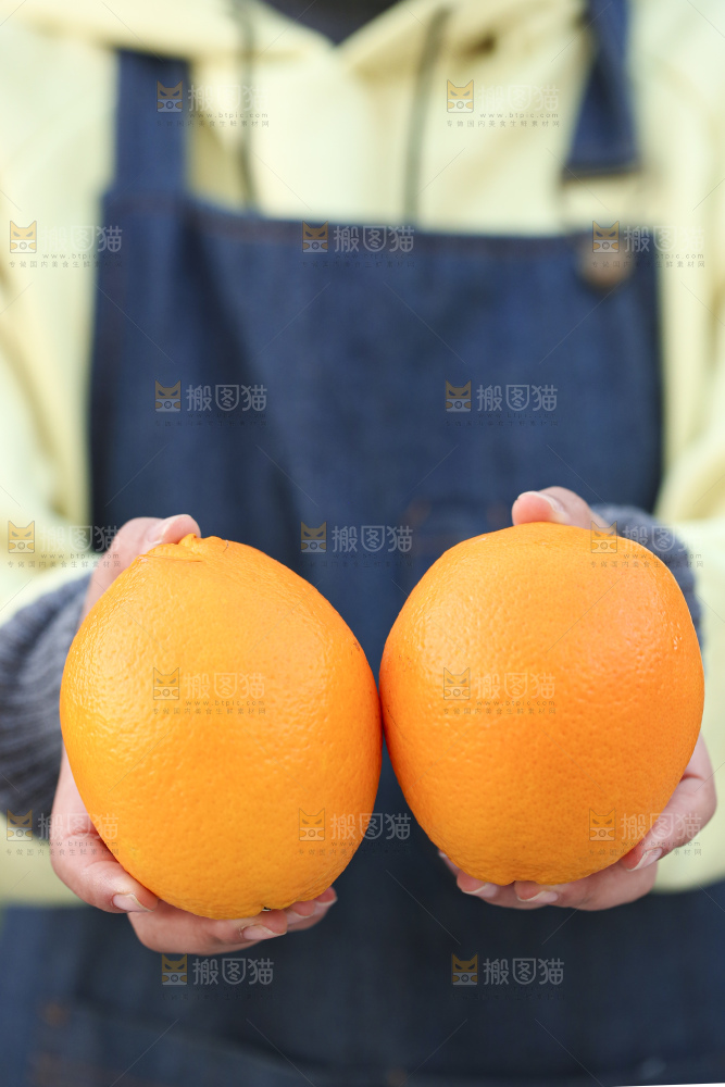 赣南脐橙
