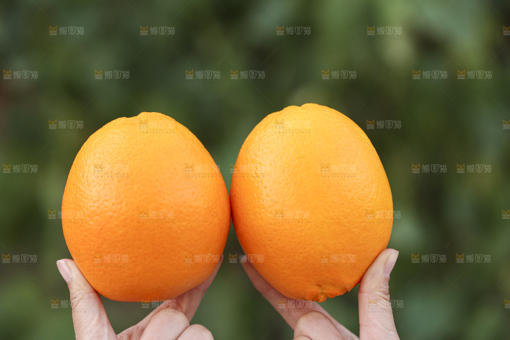 赣南脐橙