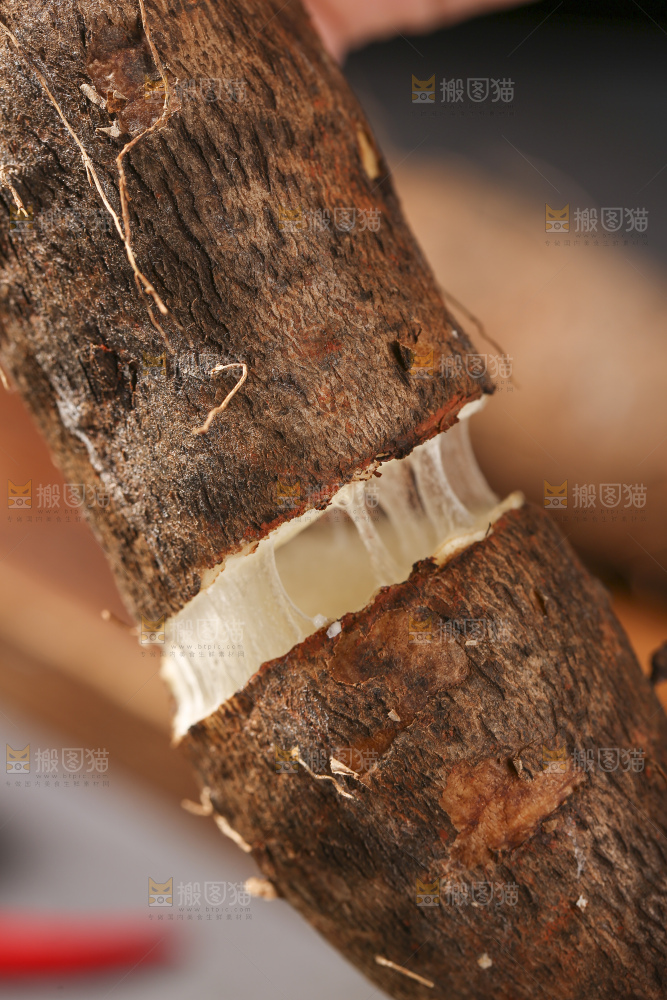 深底上放着灵芝山药