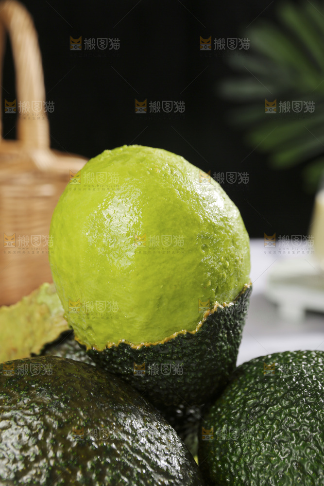 浅底上的巨无霸牛油果