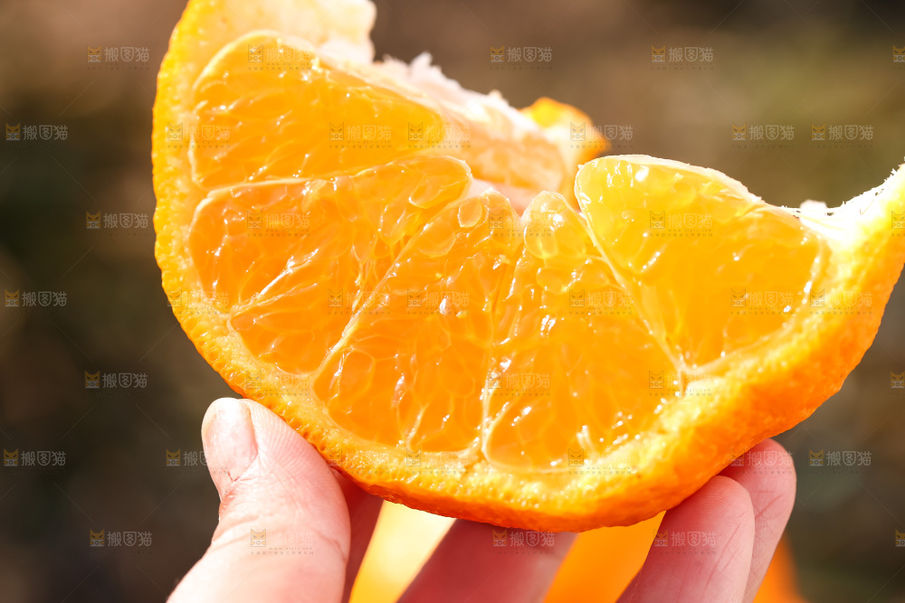 草地上的耙耙柑