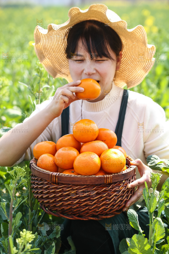 沃柑