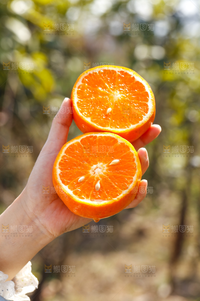 手里拿着沃柑