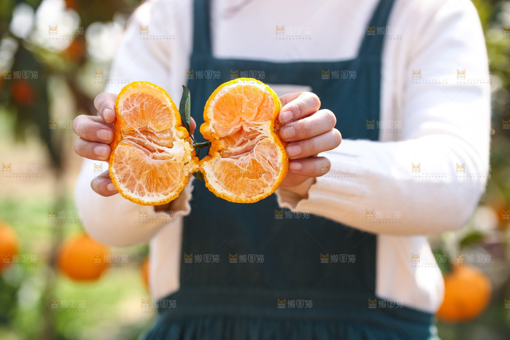 手里拿着丑八怪