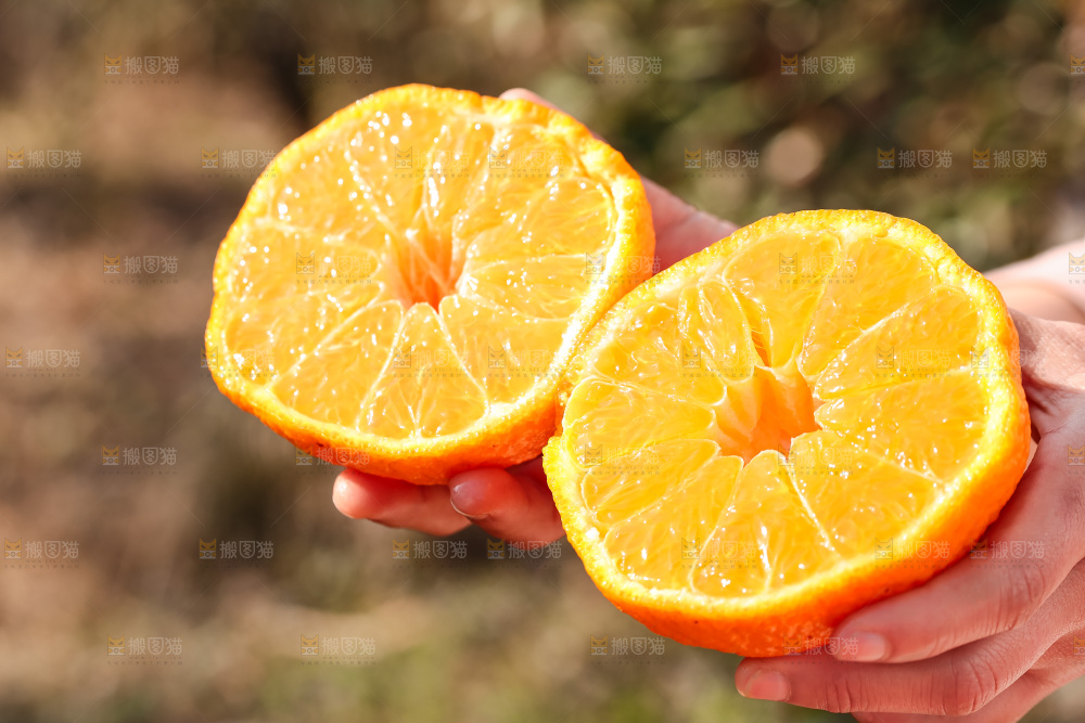 手里拿着丑八怪