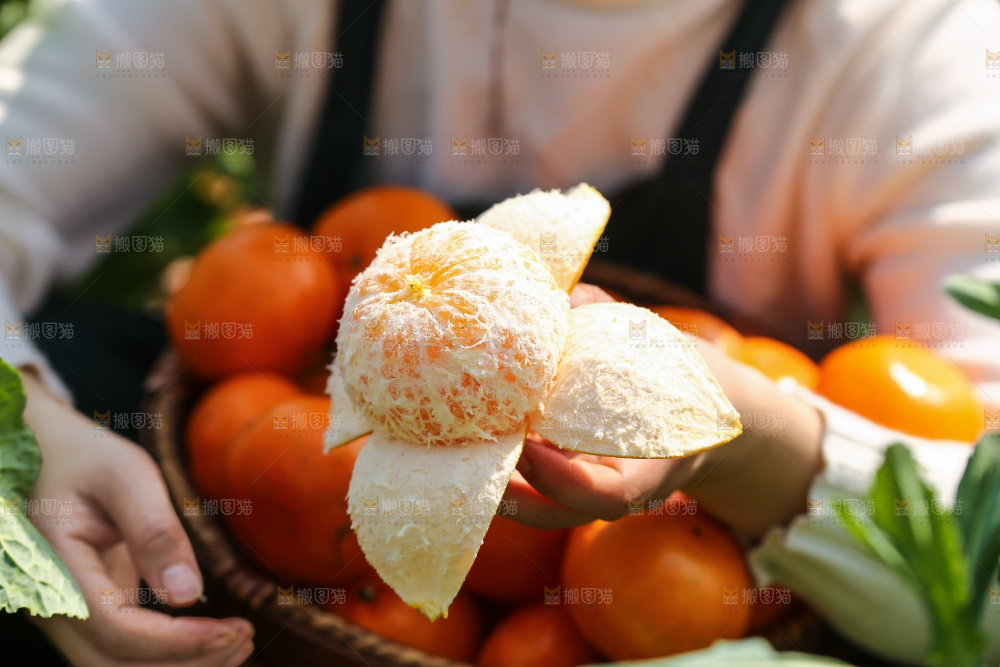 手里拿着新鲜沃柑