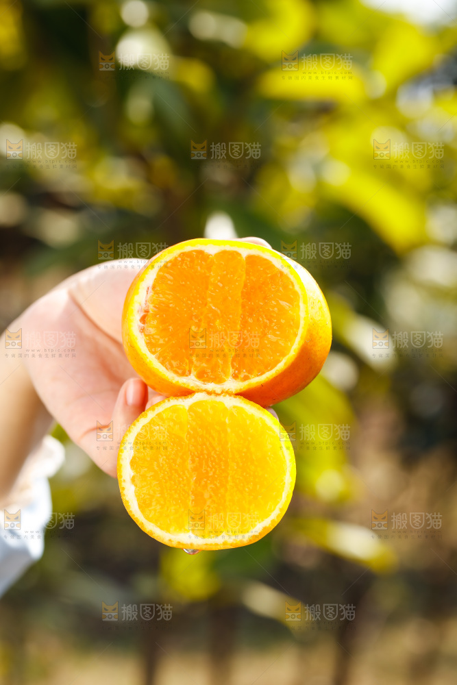 手里拿着沃柑
