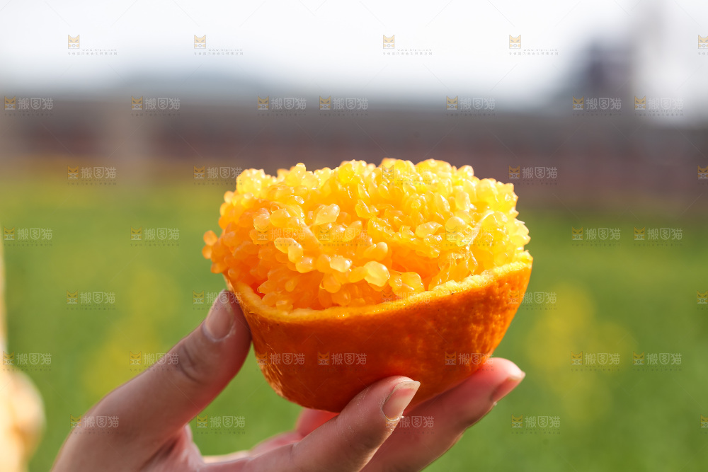 草地上的耙耙柑
