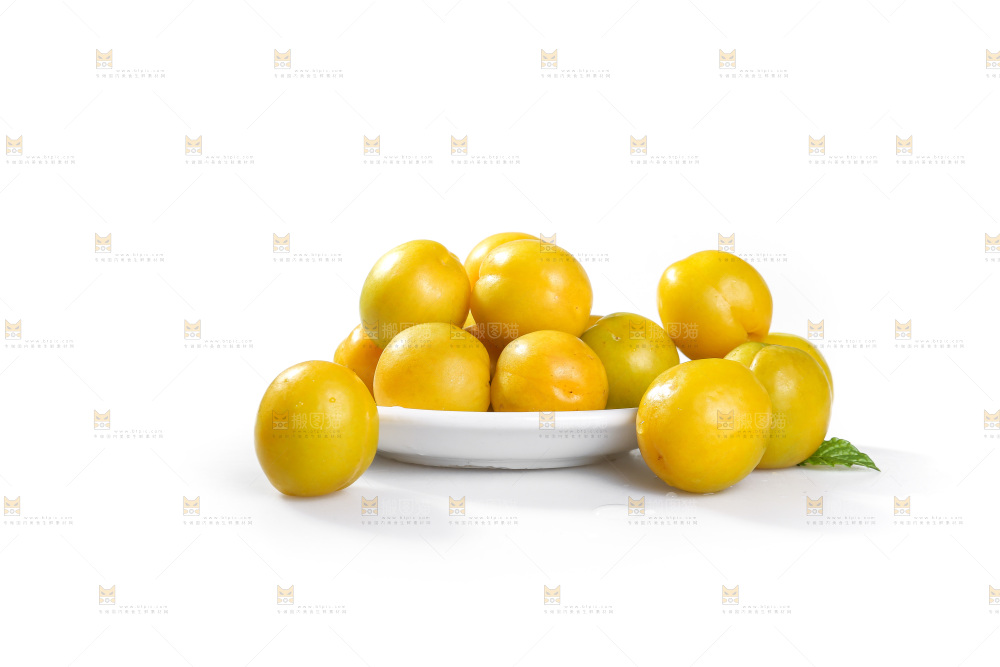 白底上的蜂糖李