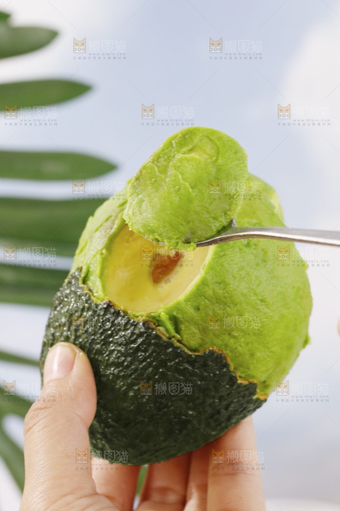 牛油果
