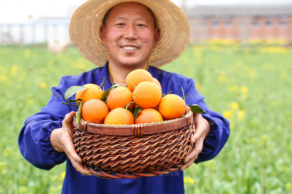 手里拿着赣南血橙