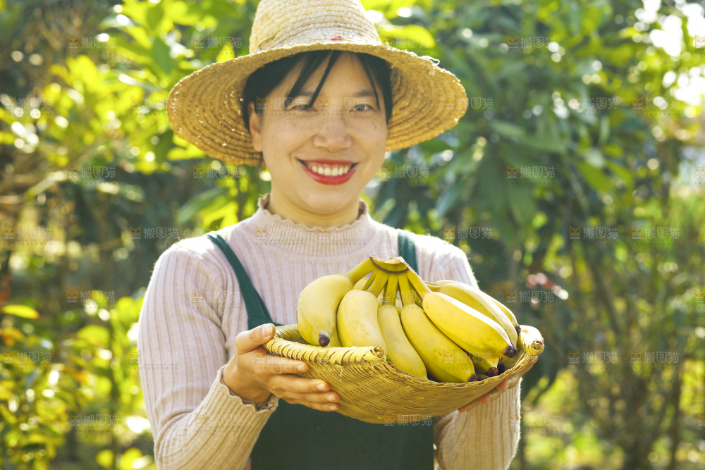 手里拿着广西芭蕉