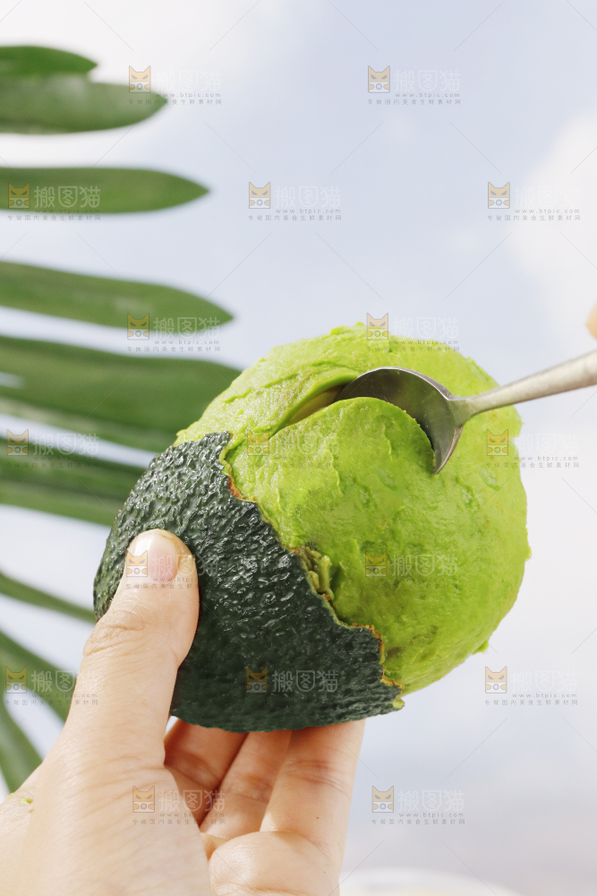 浅底上的巨无霸牛油果