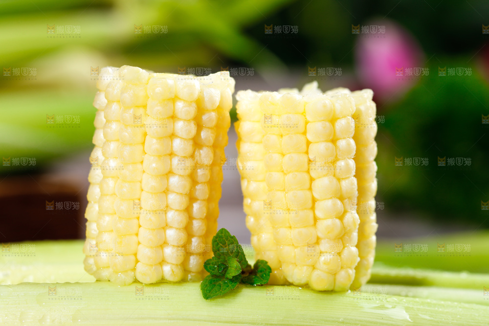 深底上的玉米笋