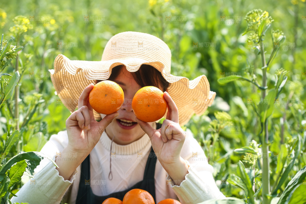 手里拿着新鲜沃柑
