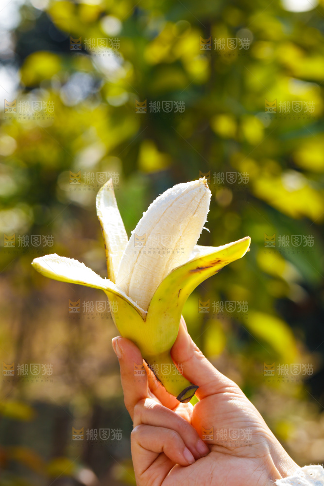 手里拿着广西芭蕉