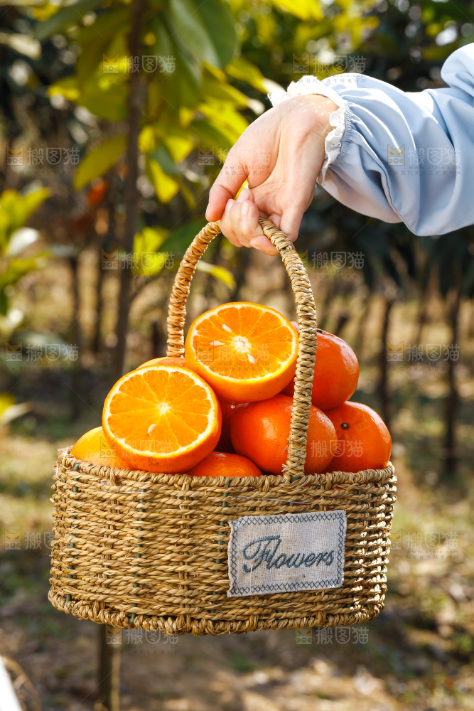 手里拿着沃柑