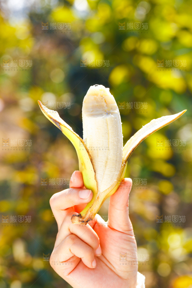 手里拿着广西芭蕉