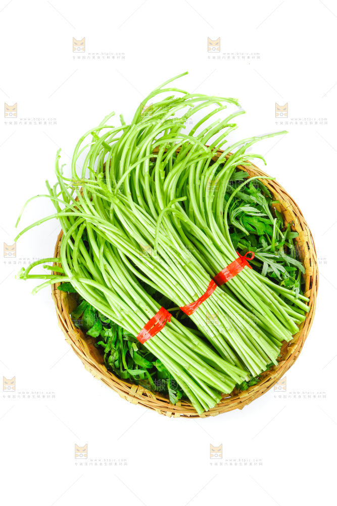 白底上放着藜蒿