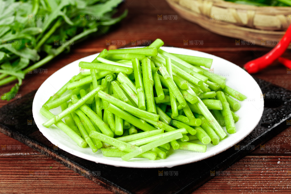 木底上的江西藜蒿