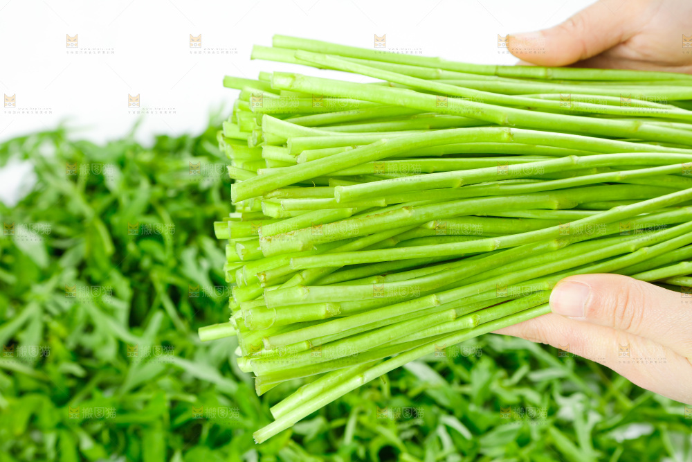 白底上放着藜蒿