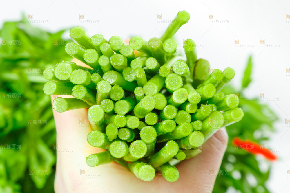 白底上放着藜蒿