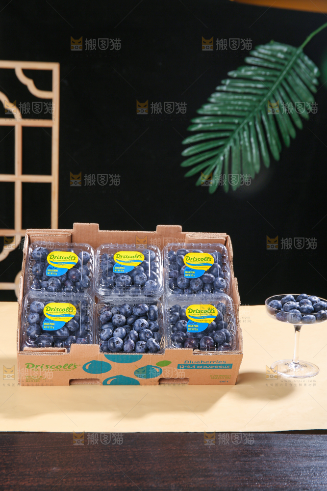 浅底上的新鲜蓝莓