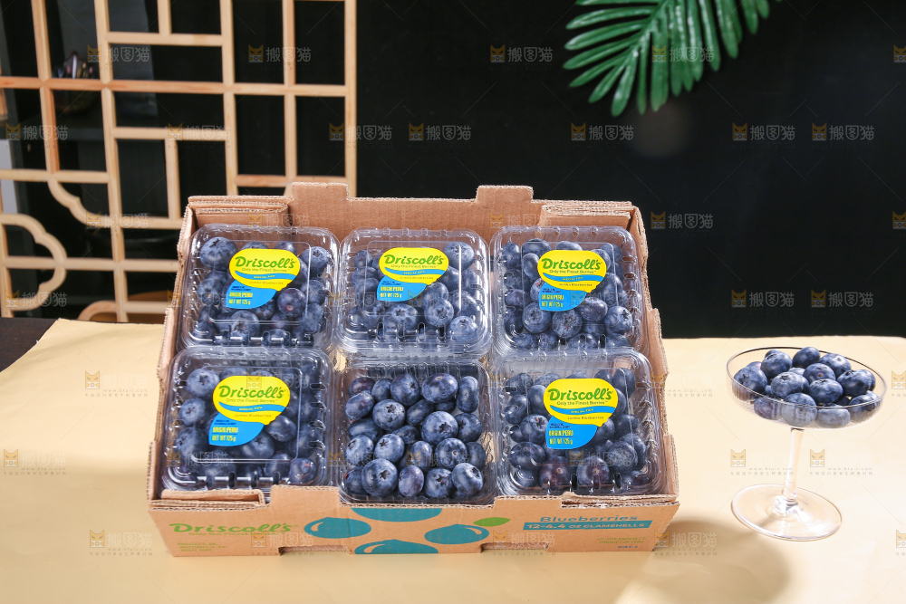 浅底上的新鲜蓝莓