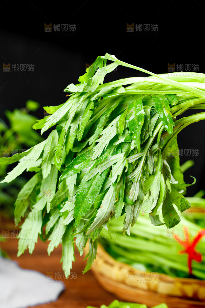 木底上的江西藜蒿