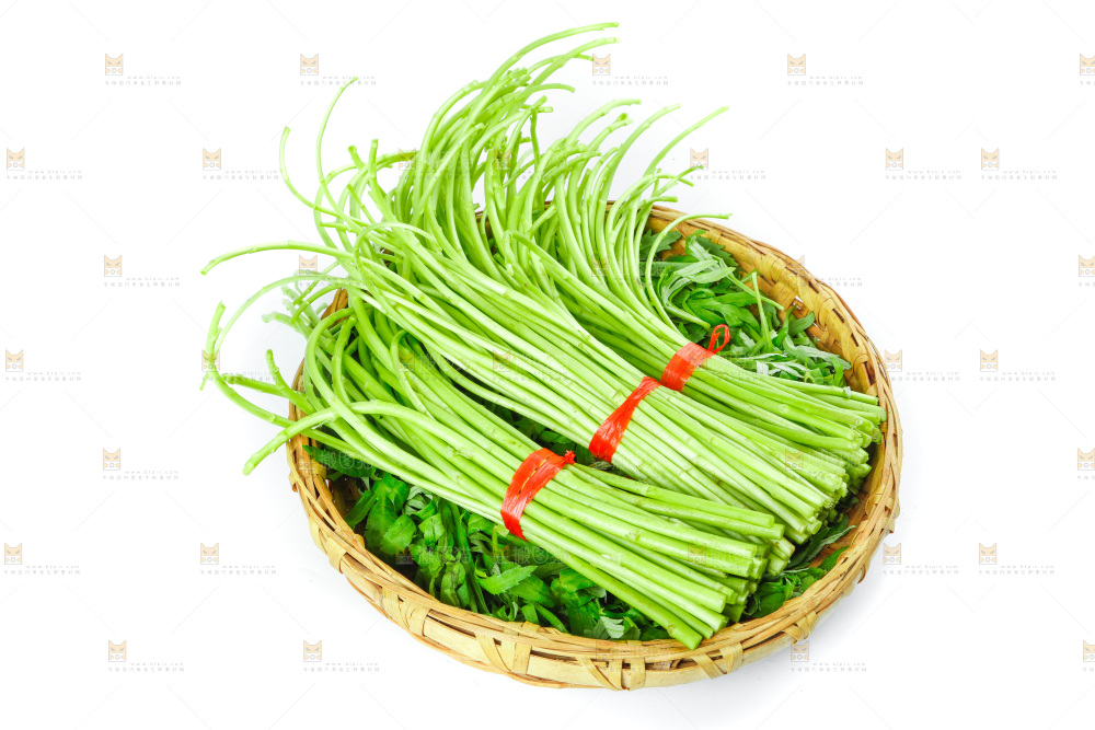 白底上放着藜蒿