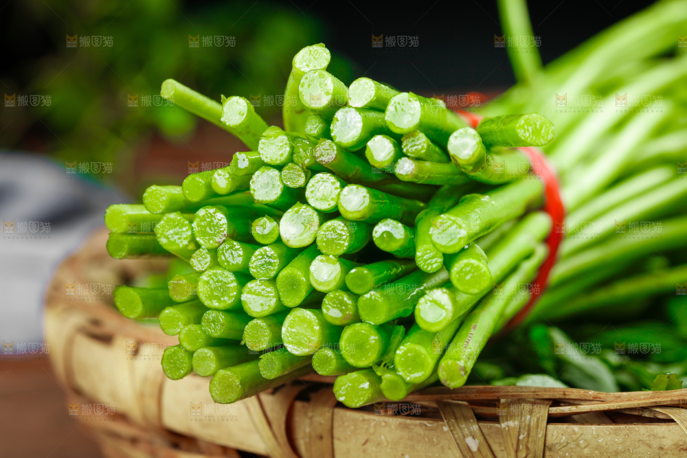 木底上的江西藜蒿