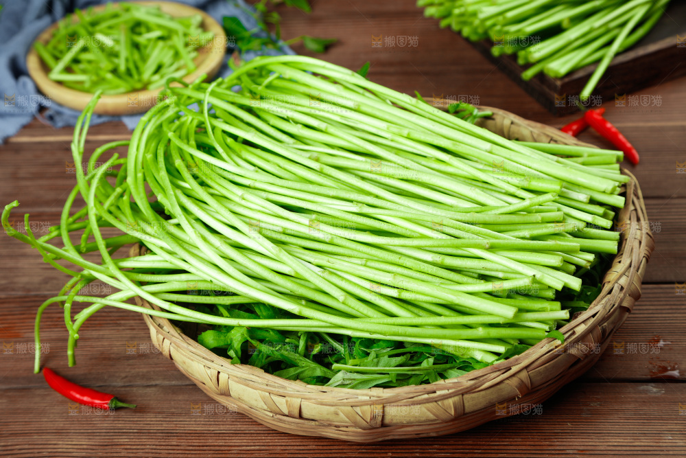 木底上的江西藜蒿
