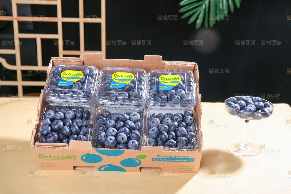 浅底上的新鲜蓝莓