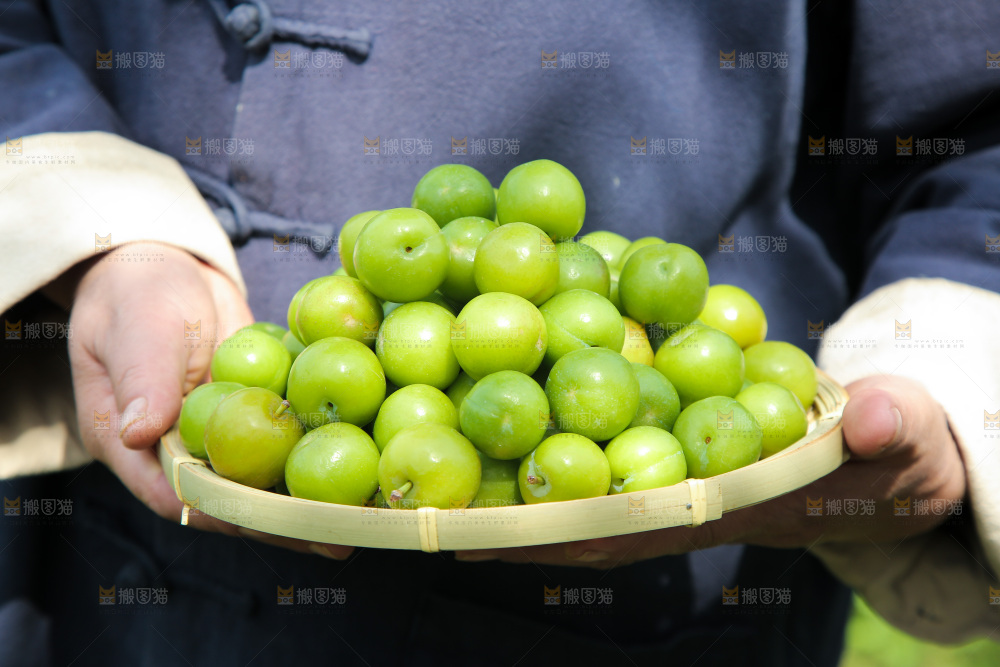 手里端着一篮三月李