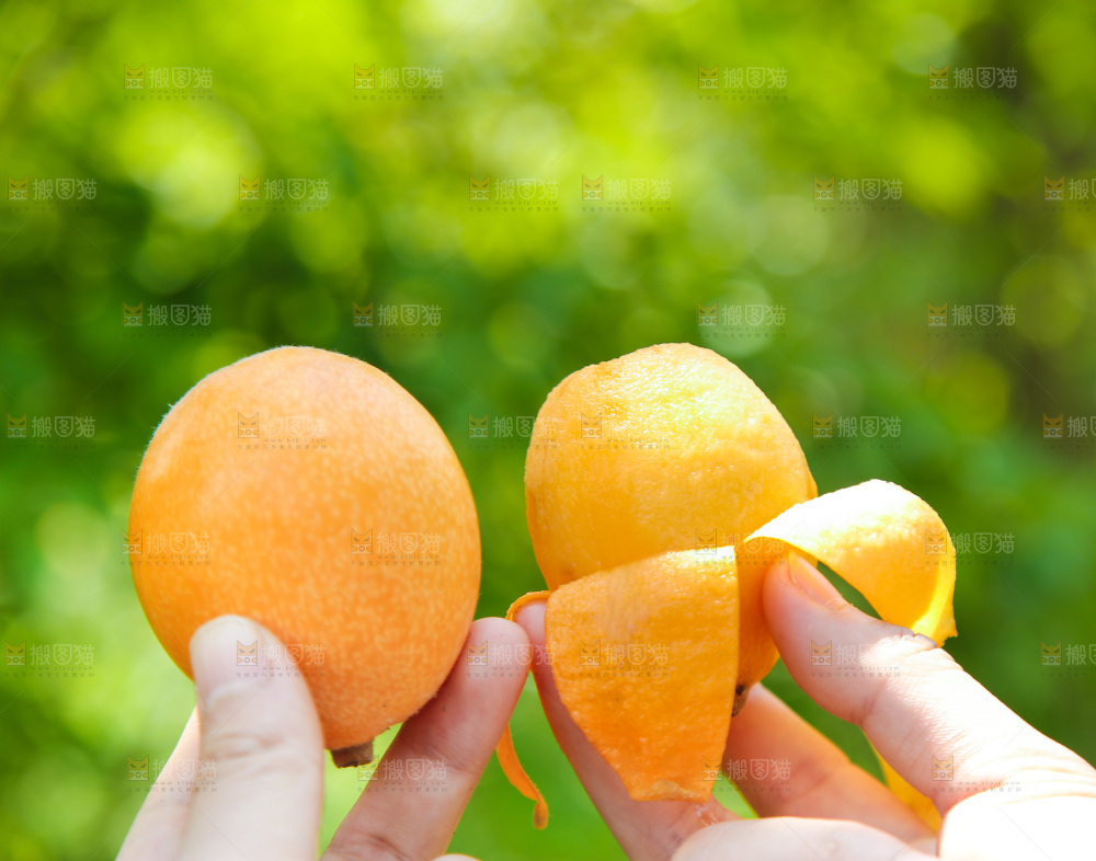 手里拿着大枇杷
