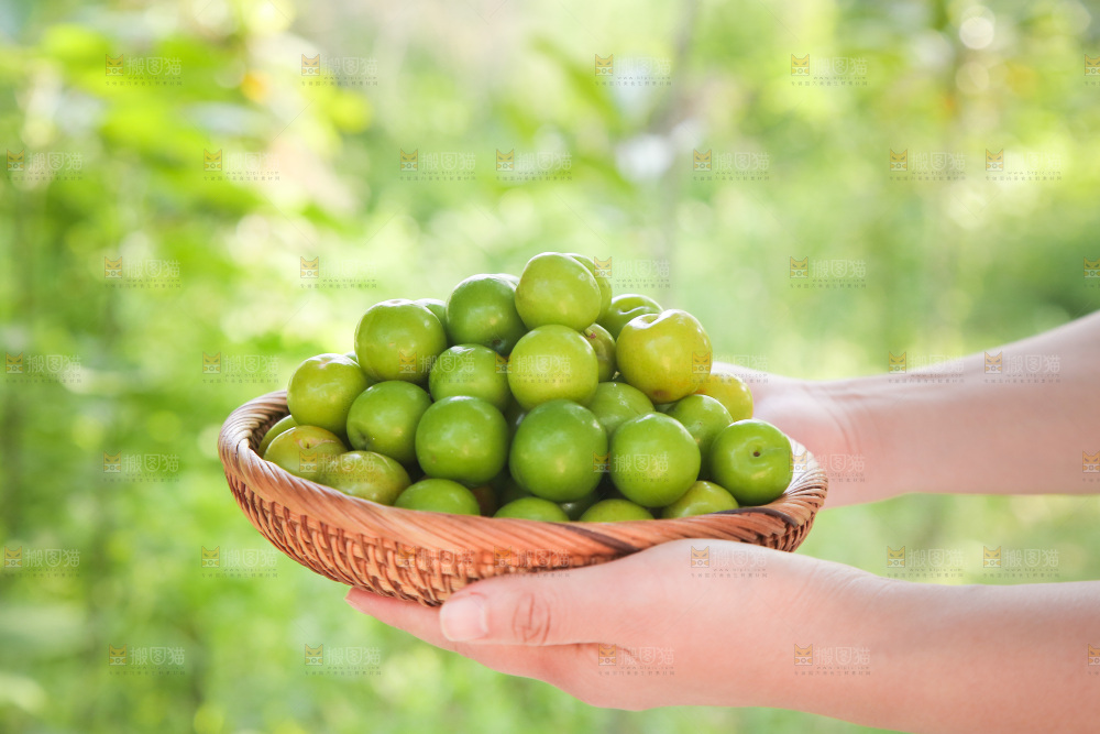 手里端着一篮青脆李