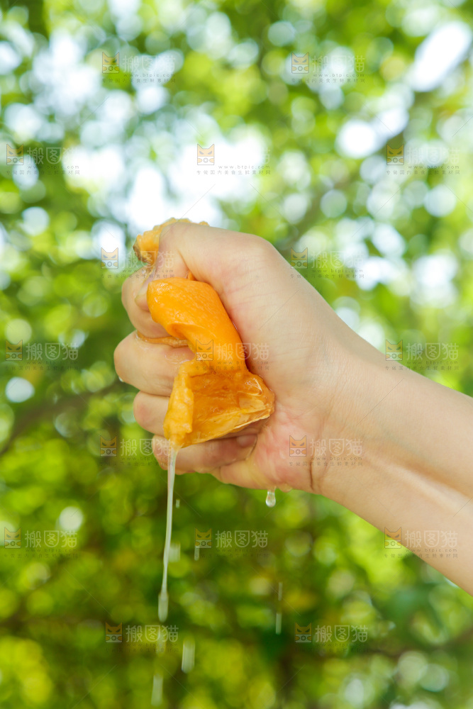 手里爆汁的枇杷