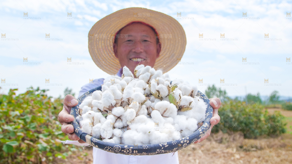 手里拿着棉花