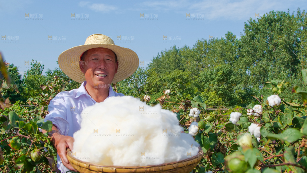 手里拿着棉花