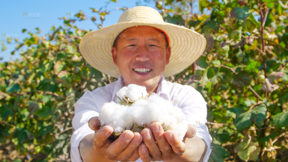 手里拿着棉花