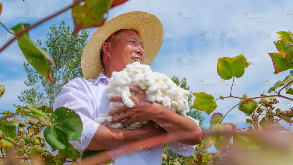 手里拿着棉花
