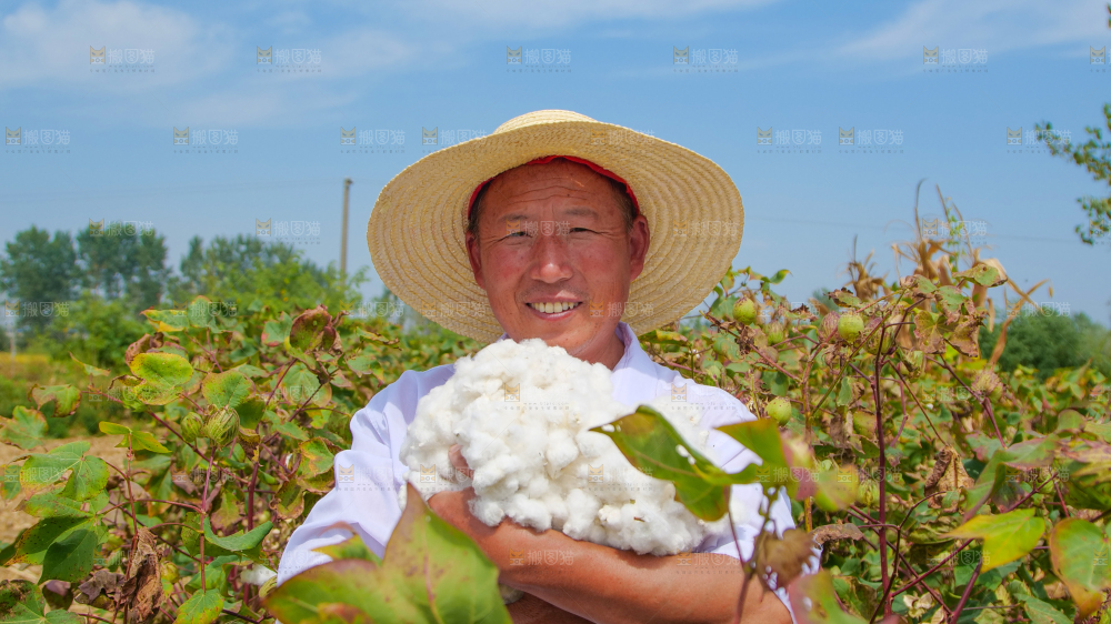 手里拿着棉花