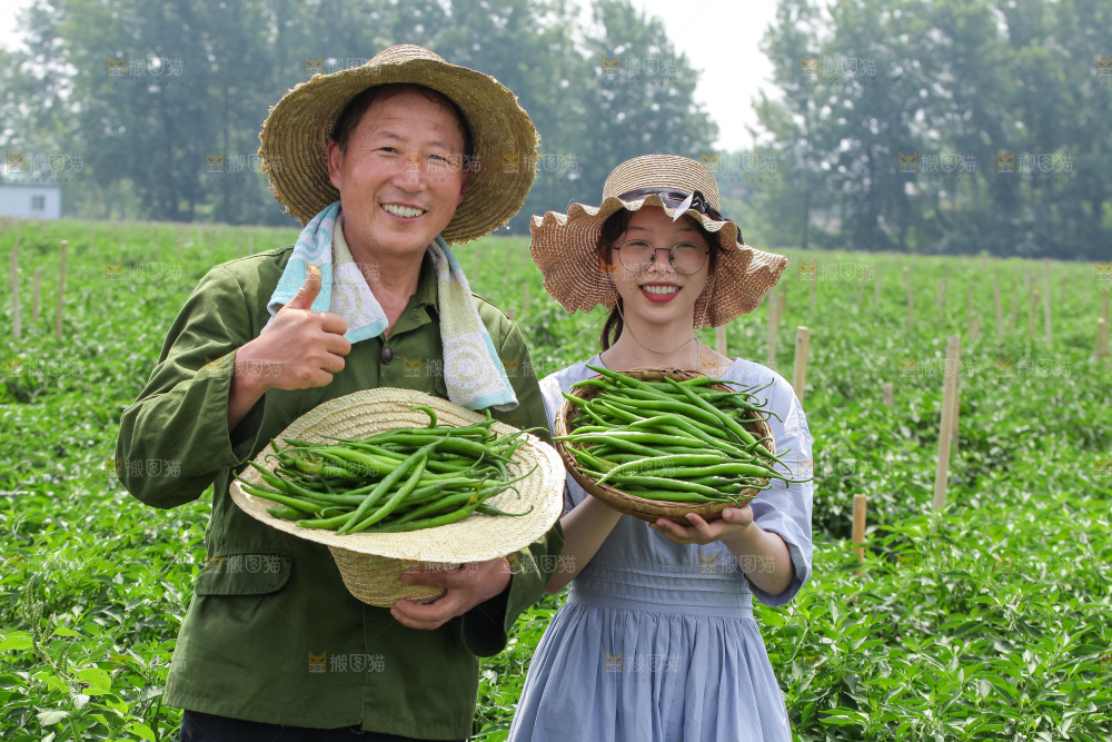 手里拿着现摘线椒