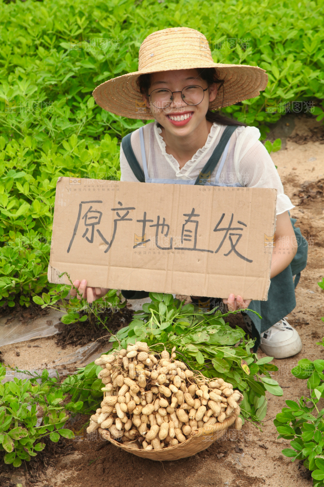 手里拿着现挖花生