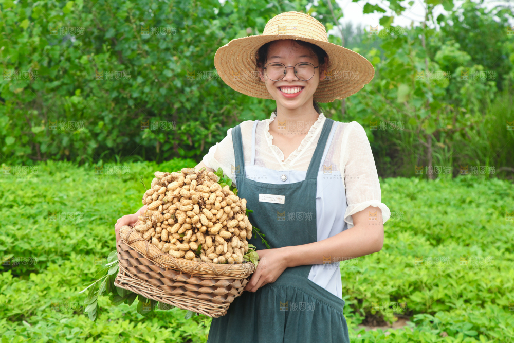 手里拿着现挖花生