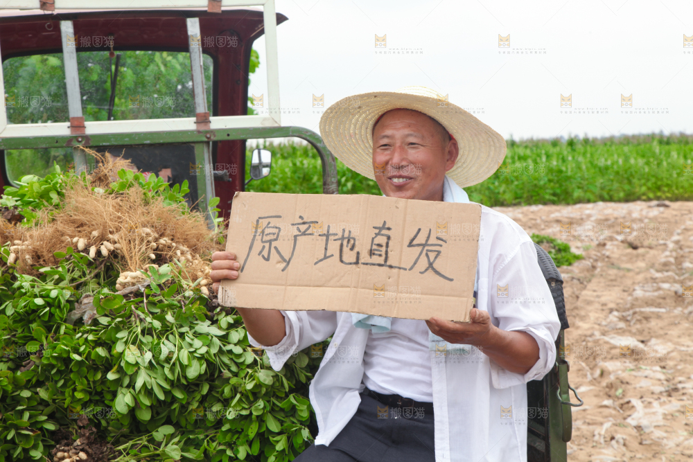 手里拿着现挖花生