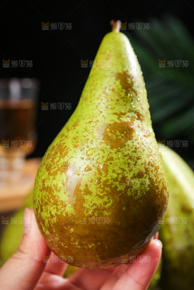 黑底上的进口啤梨